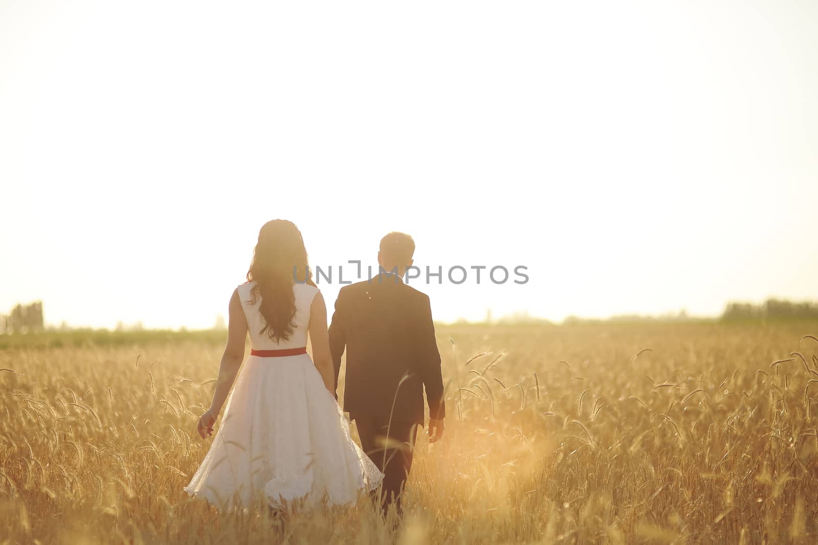 The bride and groom hold hands, hug each other and walk in the park. Sunset light. wedding. Happy love concept. by selinsmo