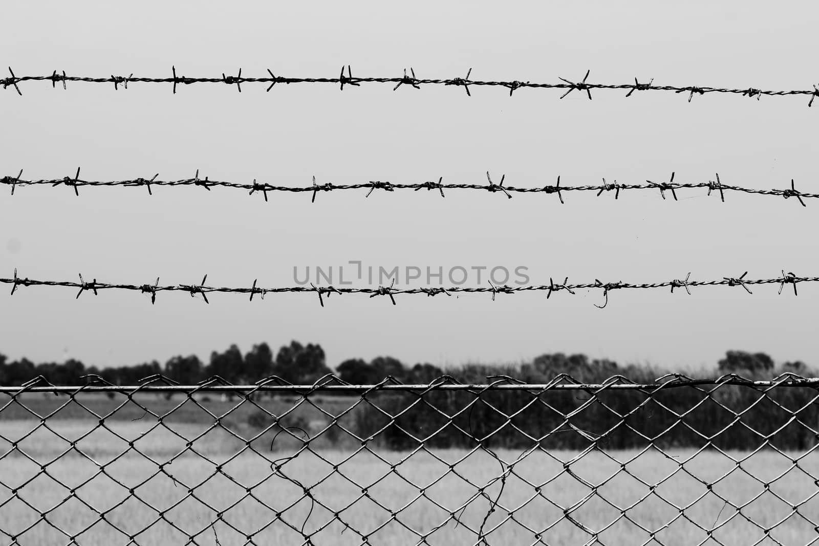 Barbed wire detention center at countryside and background gray color style