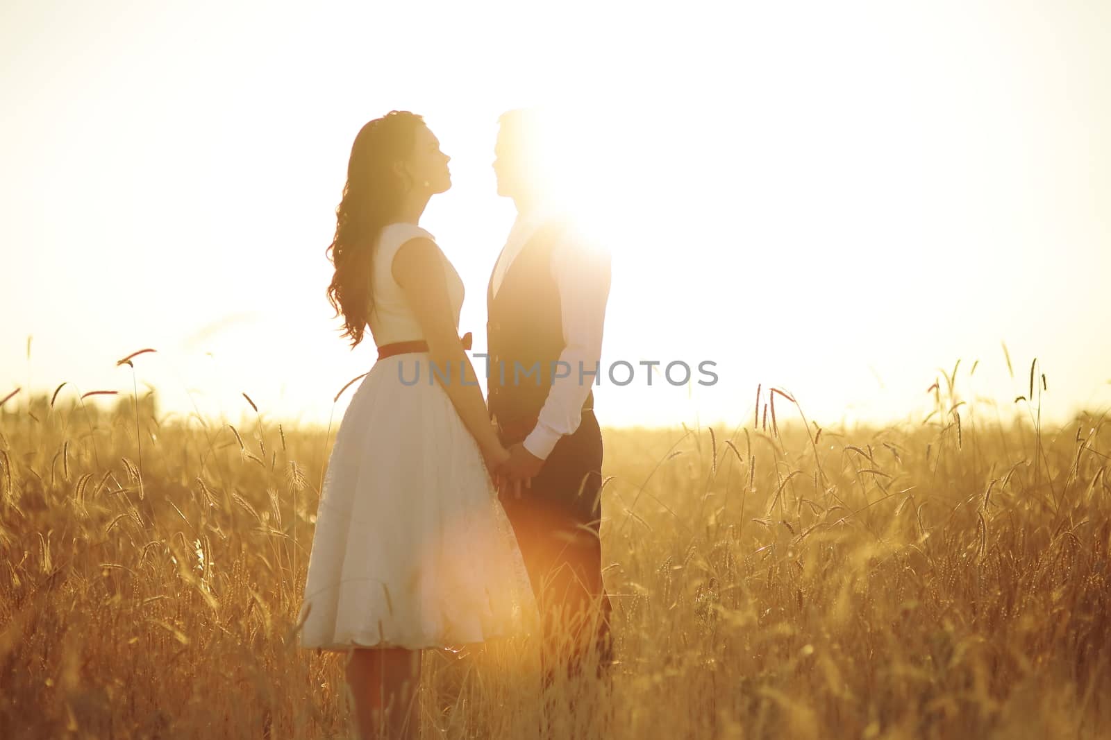 The bride and groom hold hands, hug each other and walk in the park. Sunset light. wedding. Happy love concept. High quality photo