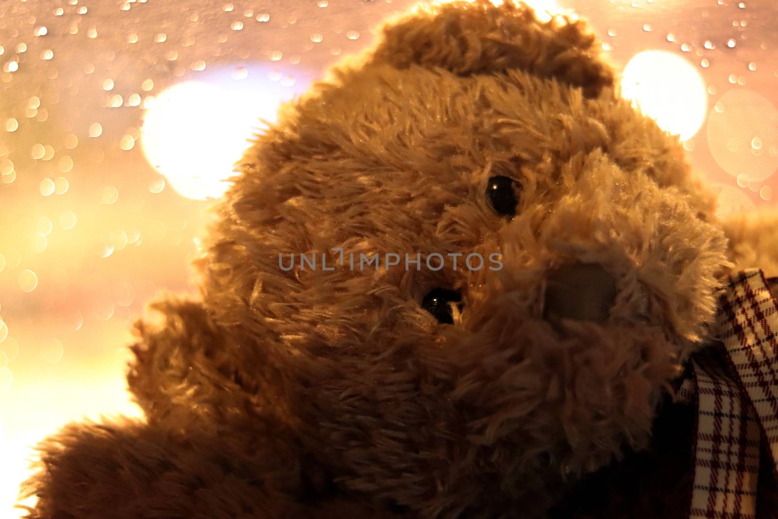 Bear doll face close up, Face Teddy Bear, the image of loneliness (Selective Focus) by cgdeaw
