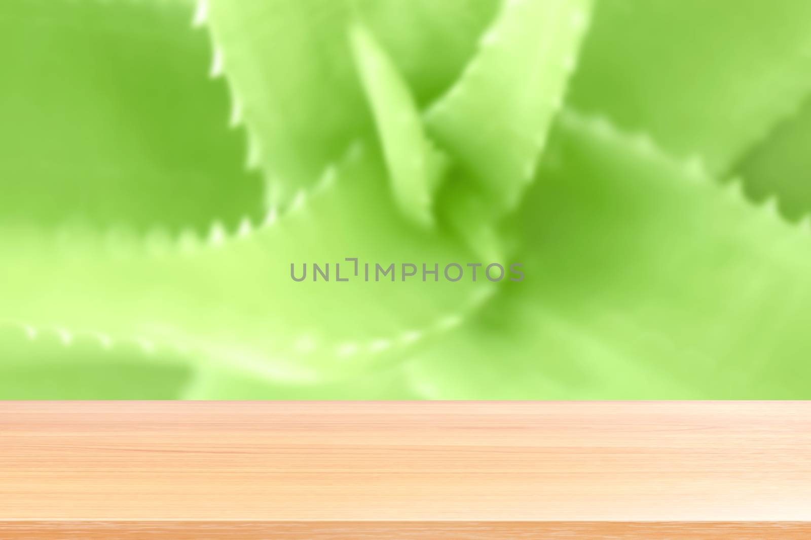 wood plank on aloe vera leaf blurred green fresh nature background, empty wood table floors on aloe vera blurred green fresh nature background, wood table board empty front aloe vera leaf fresh by cgdeaw