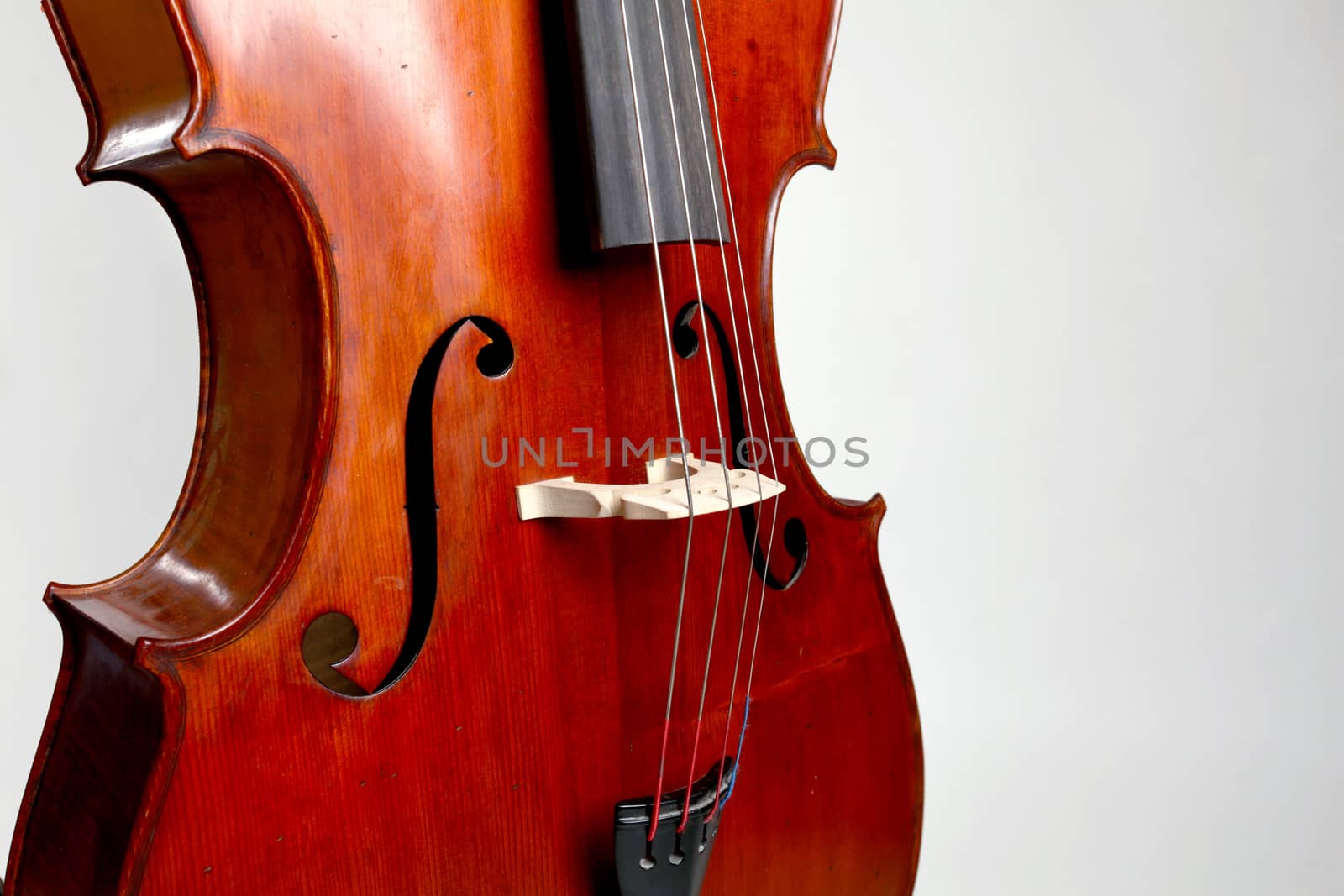 Old double bass c bout and belly on white background by Ivanko