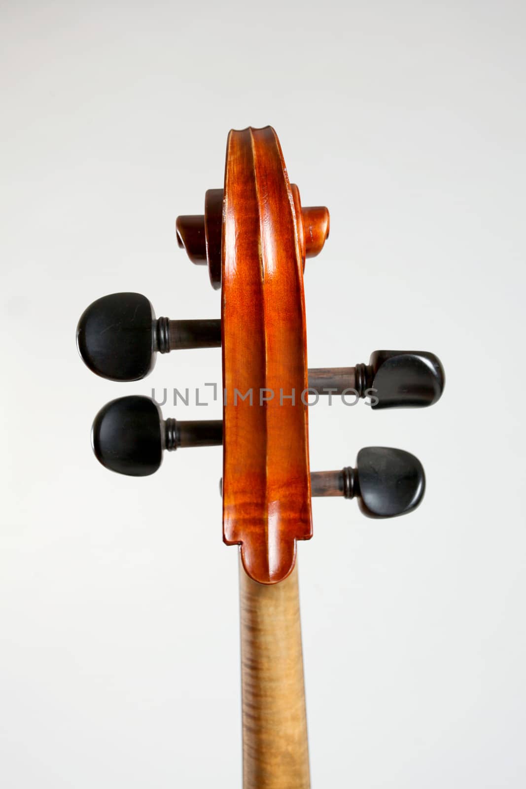 Old double bass head isolated on white background