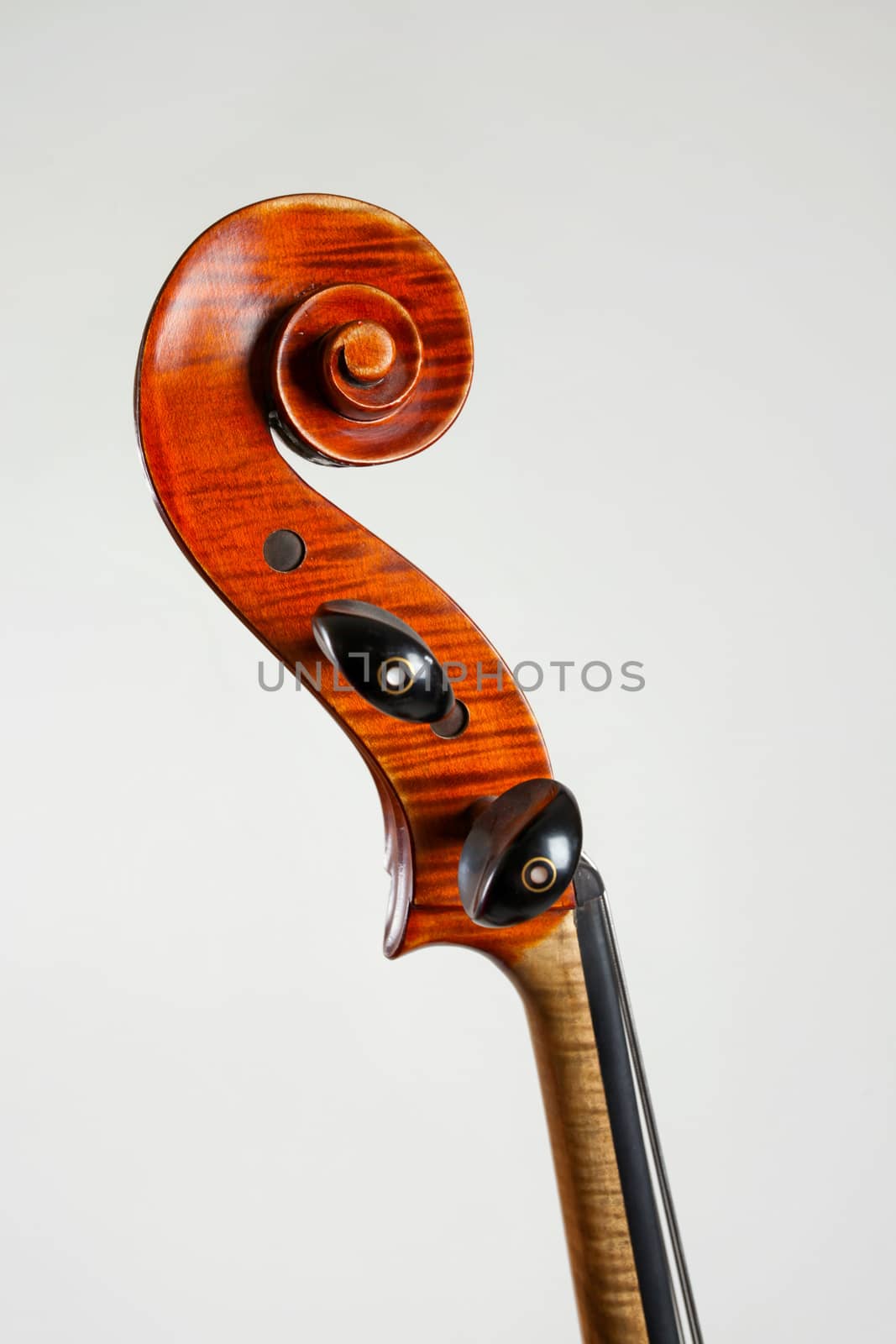 Side view of old double bass head isolated on white background.