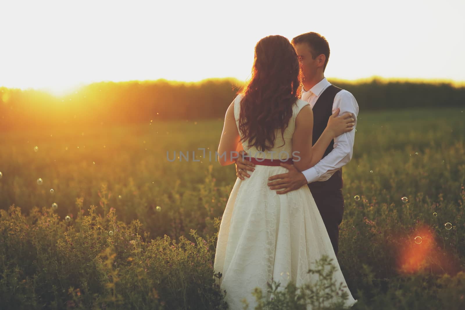 Happy bride and groom hug each other in the park at sunset. Wedding. Happy love concept. High quality photo