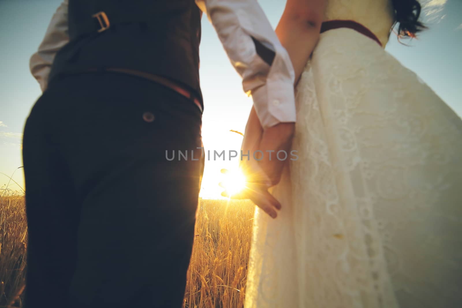 The bride and groom hold hands, hug each other and walk in the park. Sunset light. wedding. Happy love concept. by selinsmo