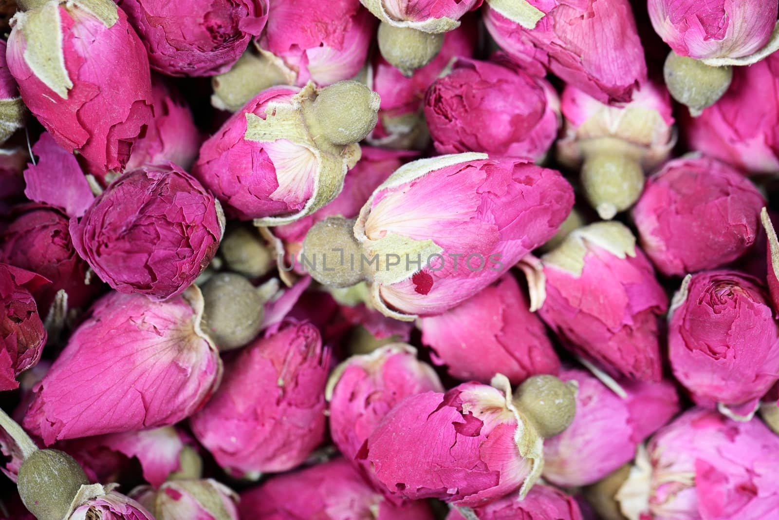 Dried rosebuds background texture closeup. Pink rosebud macro close up of heap.
