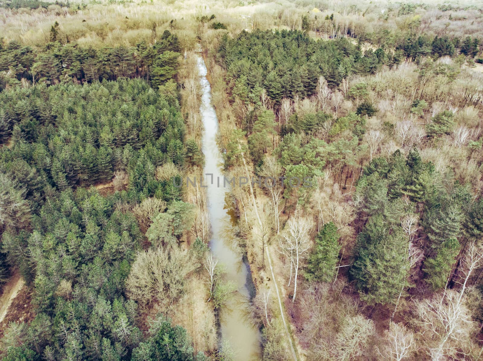 Aerial drone shot, of a forest with river or canal running through in early spring. Location: antitankgracht Kapellen. Creative edit.