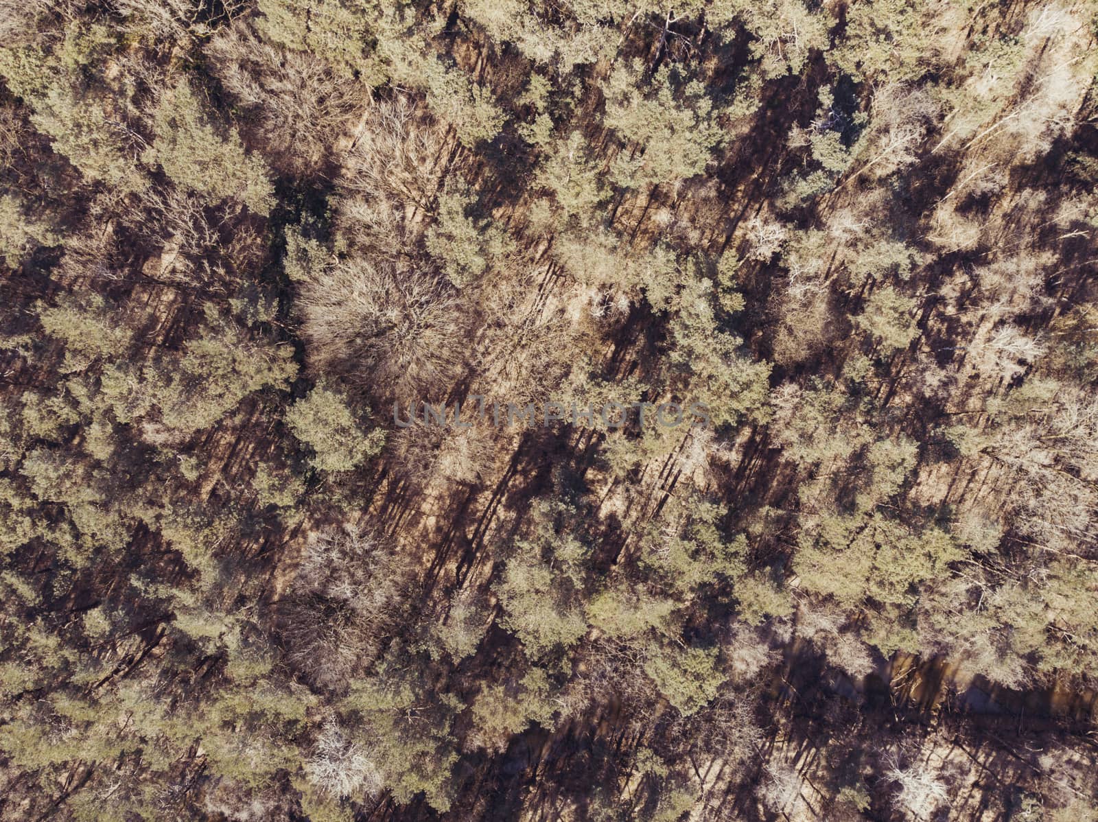 High angle and drone point, shot straight down, of view of a forest primarily with pine trees during spring. Green and brown colors. Creative edit. by kb79