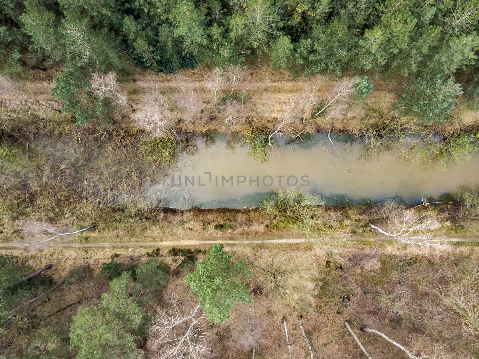 Aerial drone shot, straight down, of a forest with river or canal running through in early spring by kb79