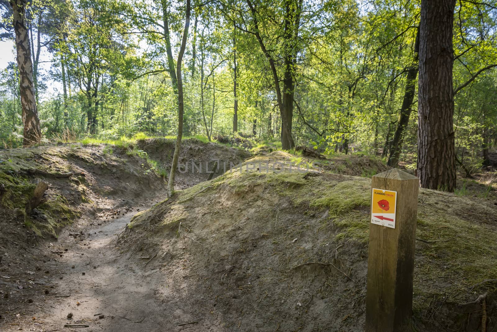 Kapellen, Belgium, April 2020: Loopgravenpad, walkway through trenches, in Mastenbos Kapellen, part of the Flanders Fields