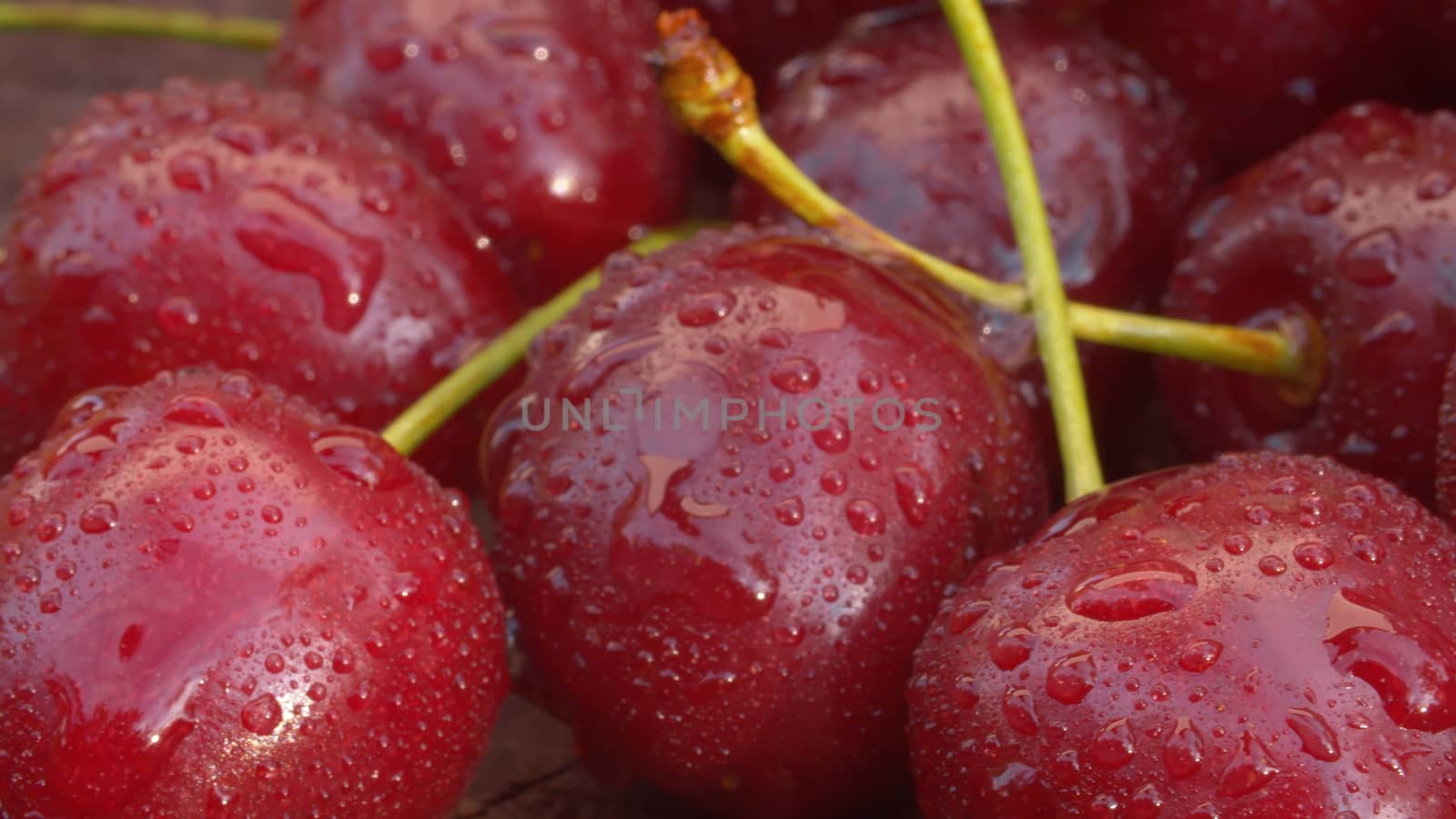 Close up ripe cherry in drops of water on a wooden board. Macro shooting. Summer fresh healthy food