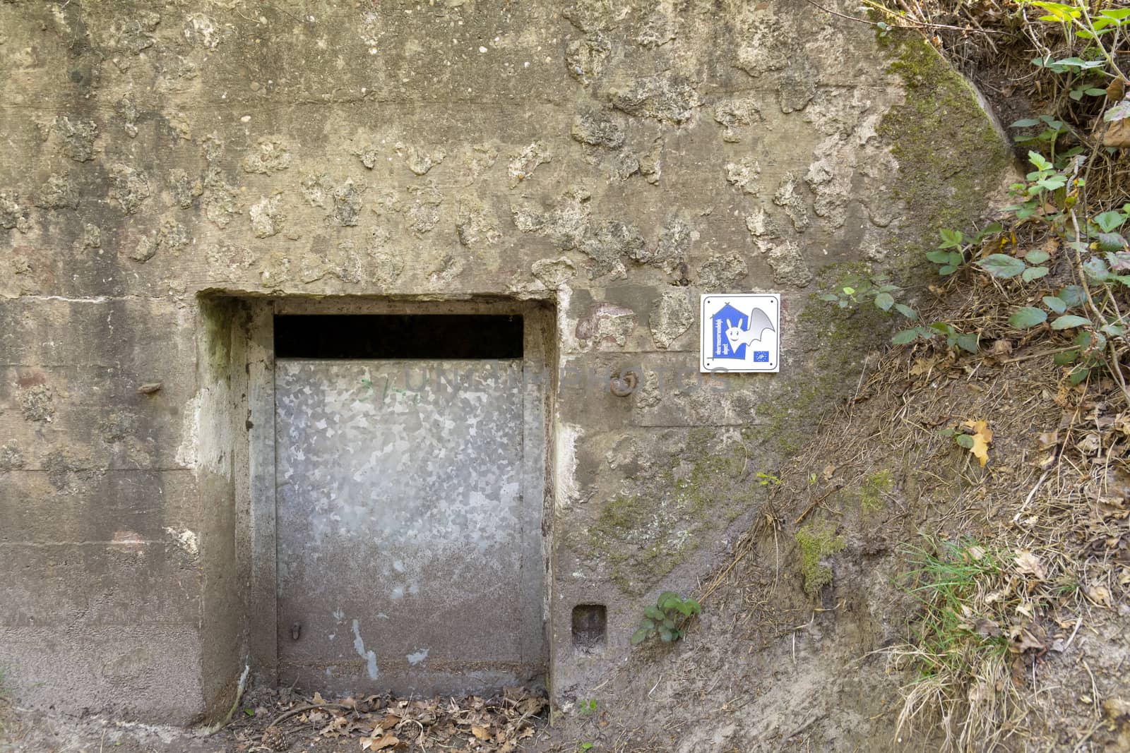 Kapellen, Belgium, April 2020: shelter for bats in old WW1 bunker.