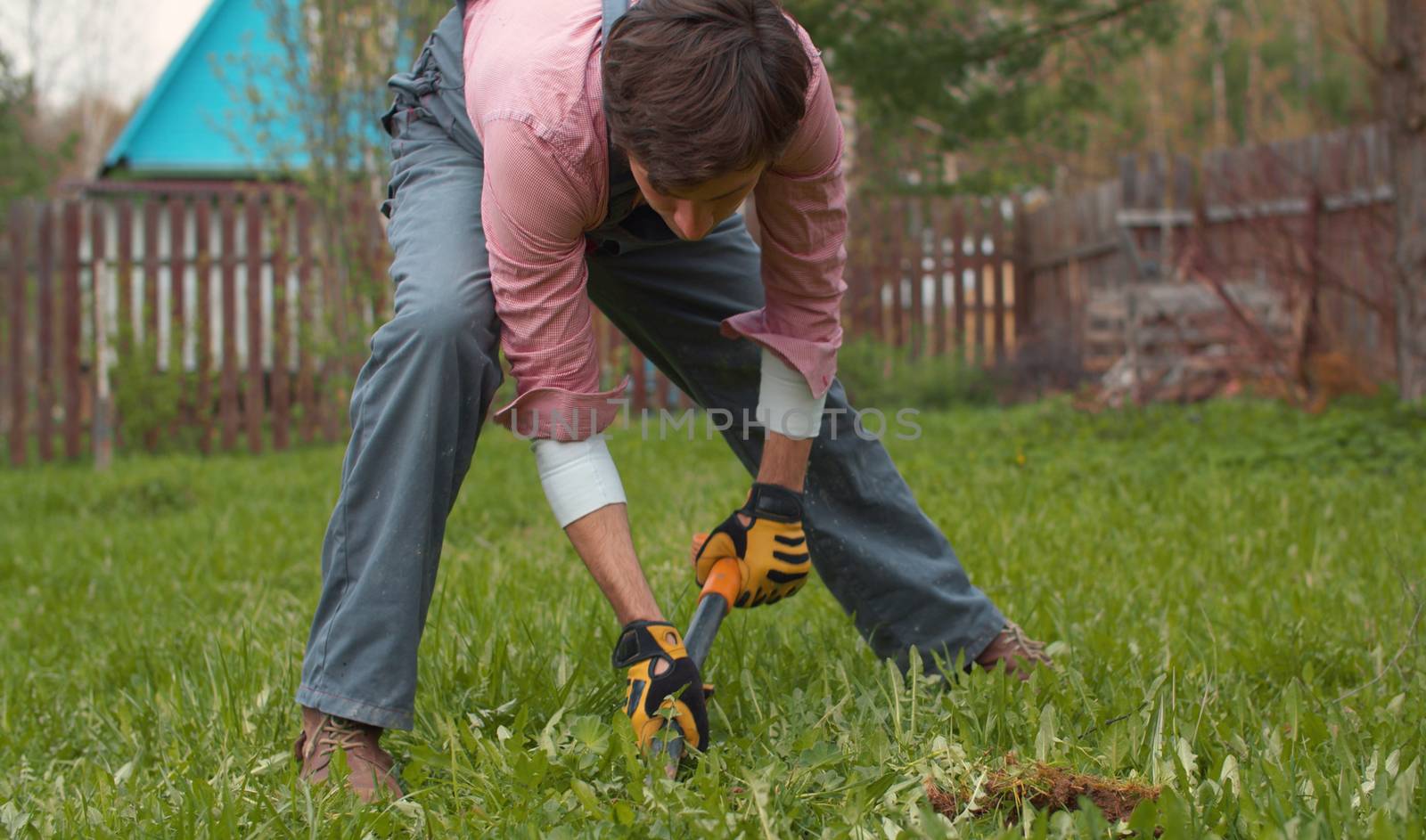 Gardener digging soil on a lawn in the yard by Alize