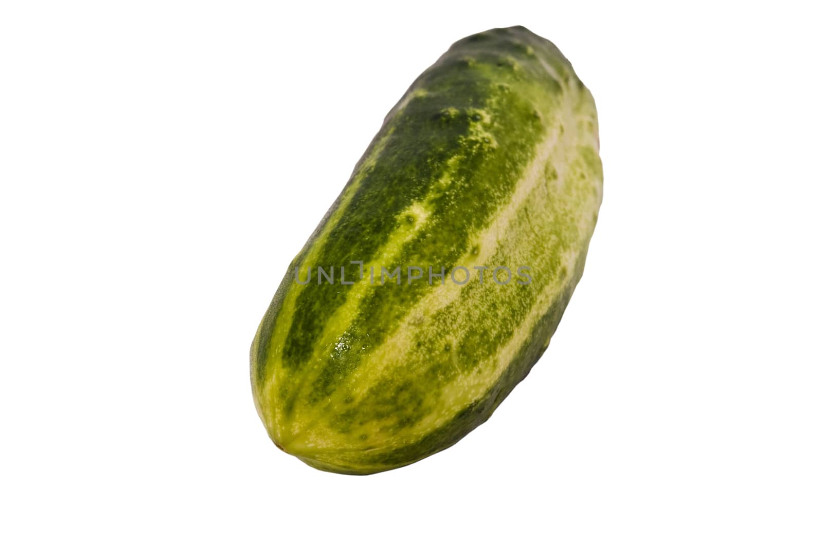cucumber by pozezan
