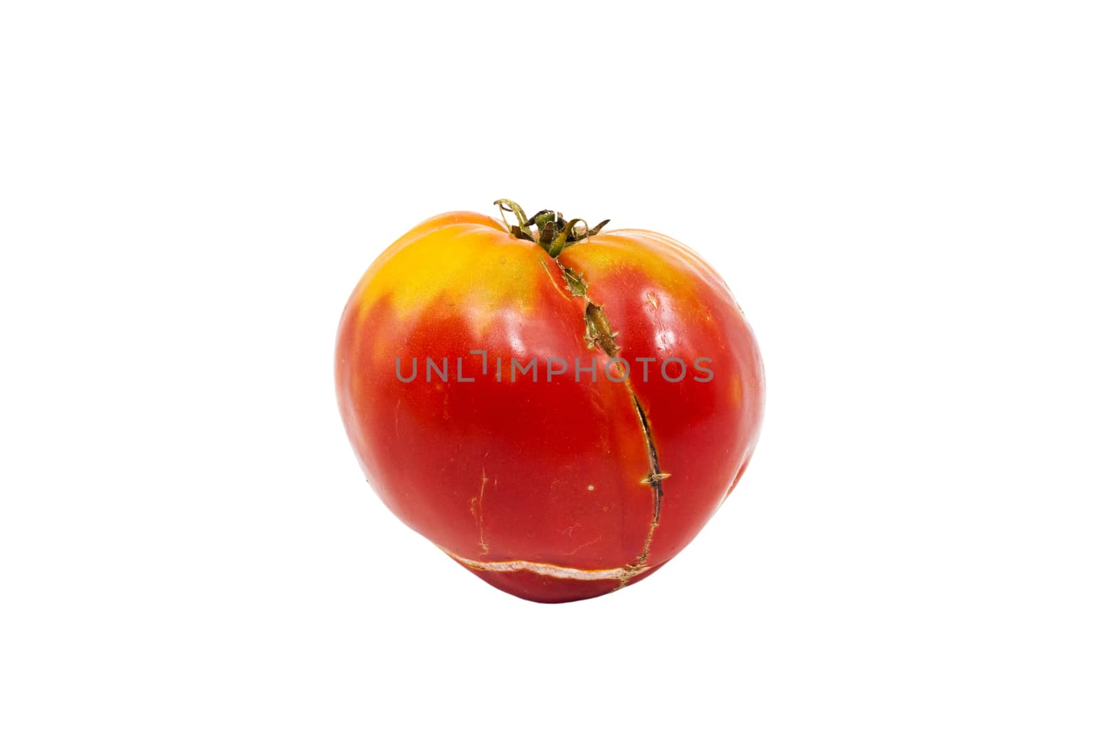 organic tomatoes by pozezan