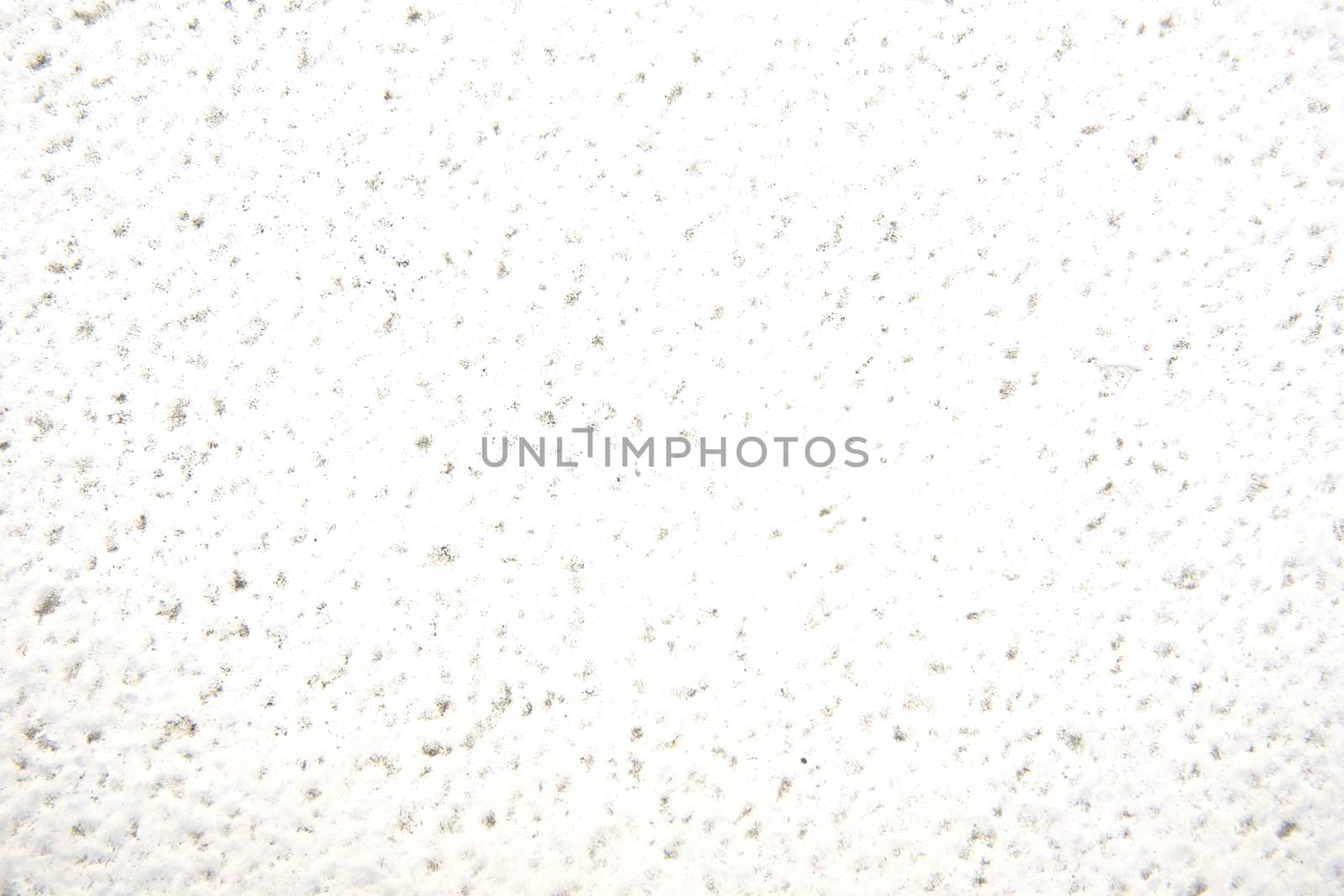 White or light gray background texture.