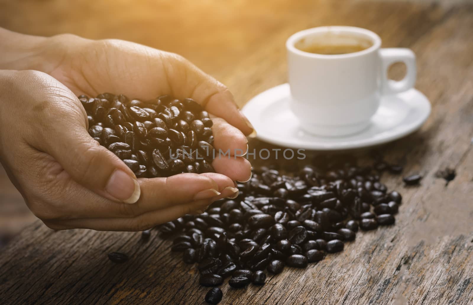 Roasted coffee beans on hand on wooden floors