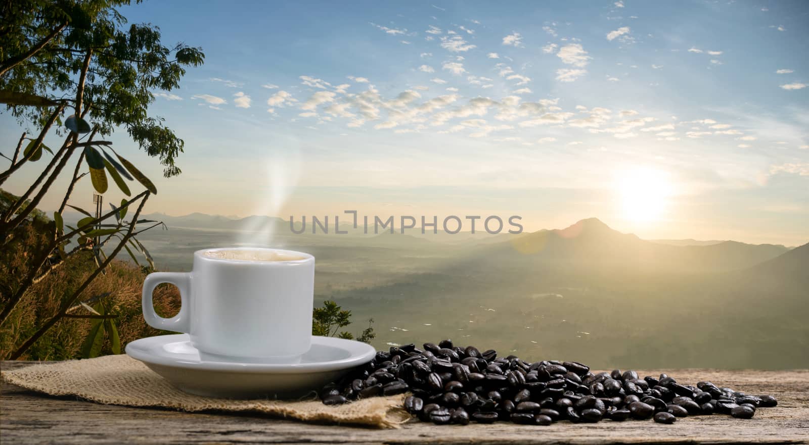 Morning coffee cup and Roasted coffee beans views with mountain sun