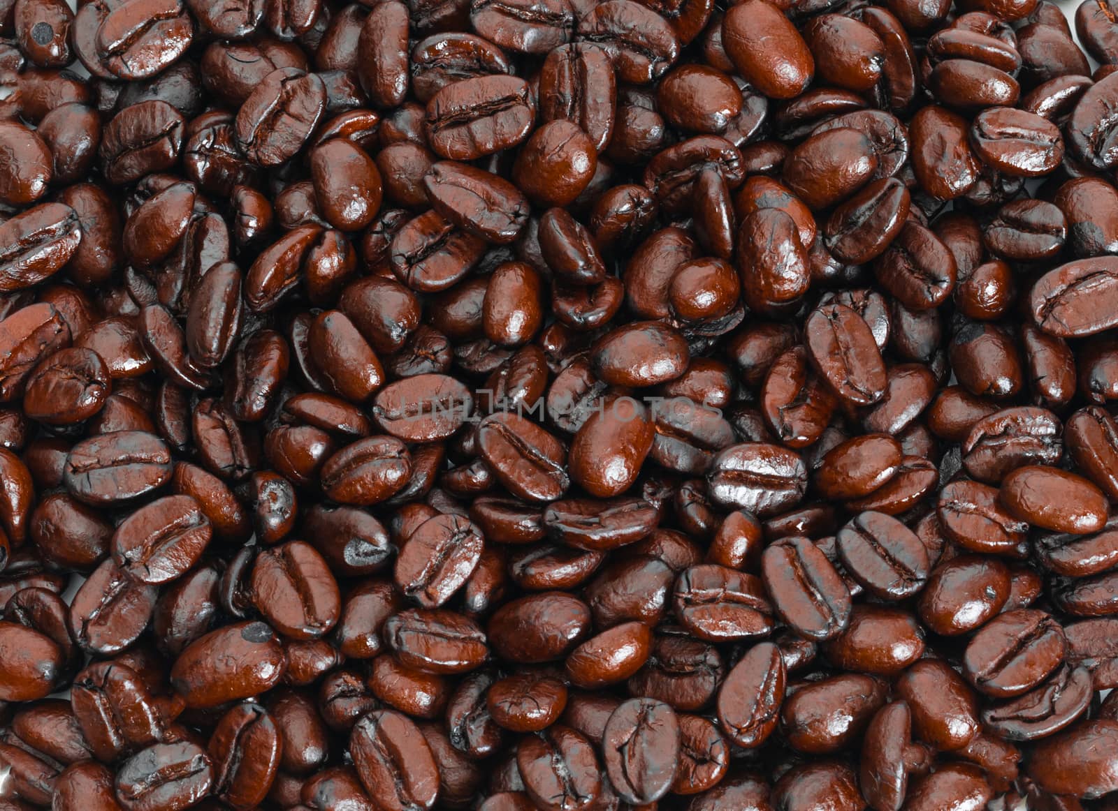 Roasted coffee beans closeup  by sompongtom