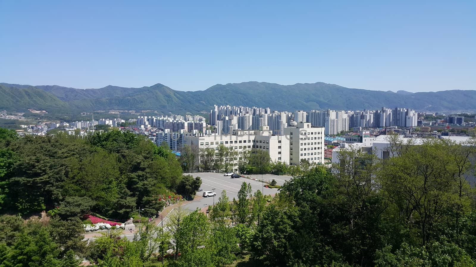 Cityscape view of developed country with green trees in the background and skyscraper buildings