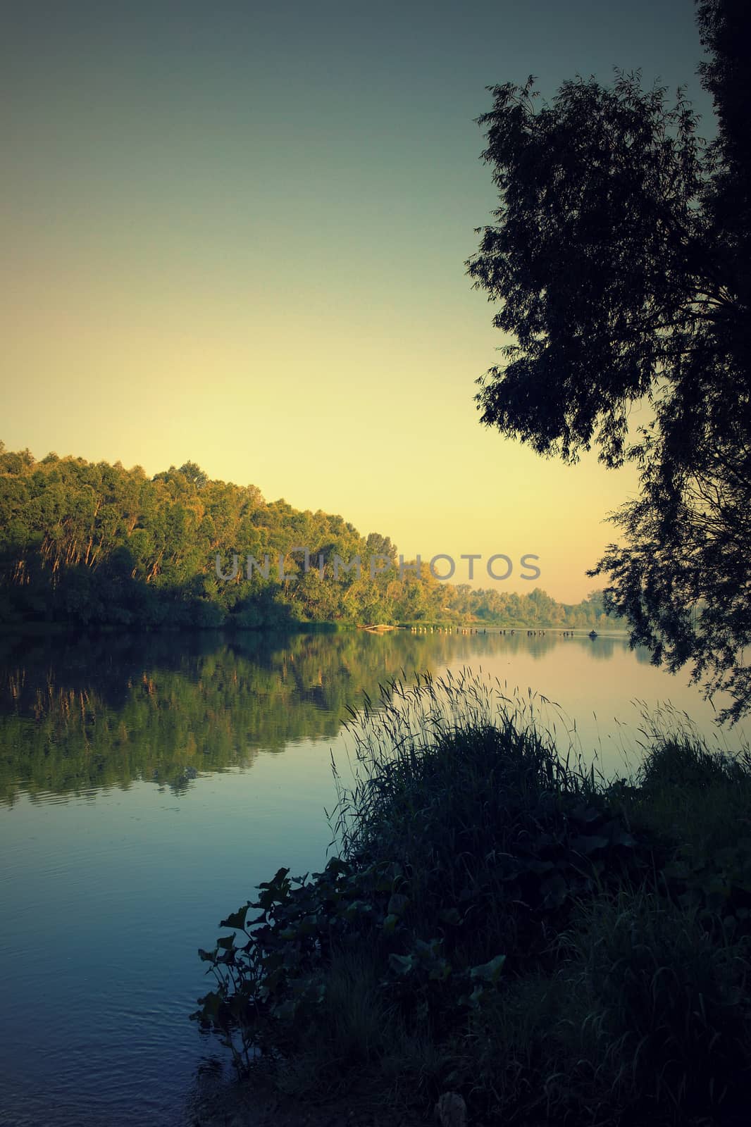 Morning summer landscape with river and fisherman