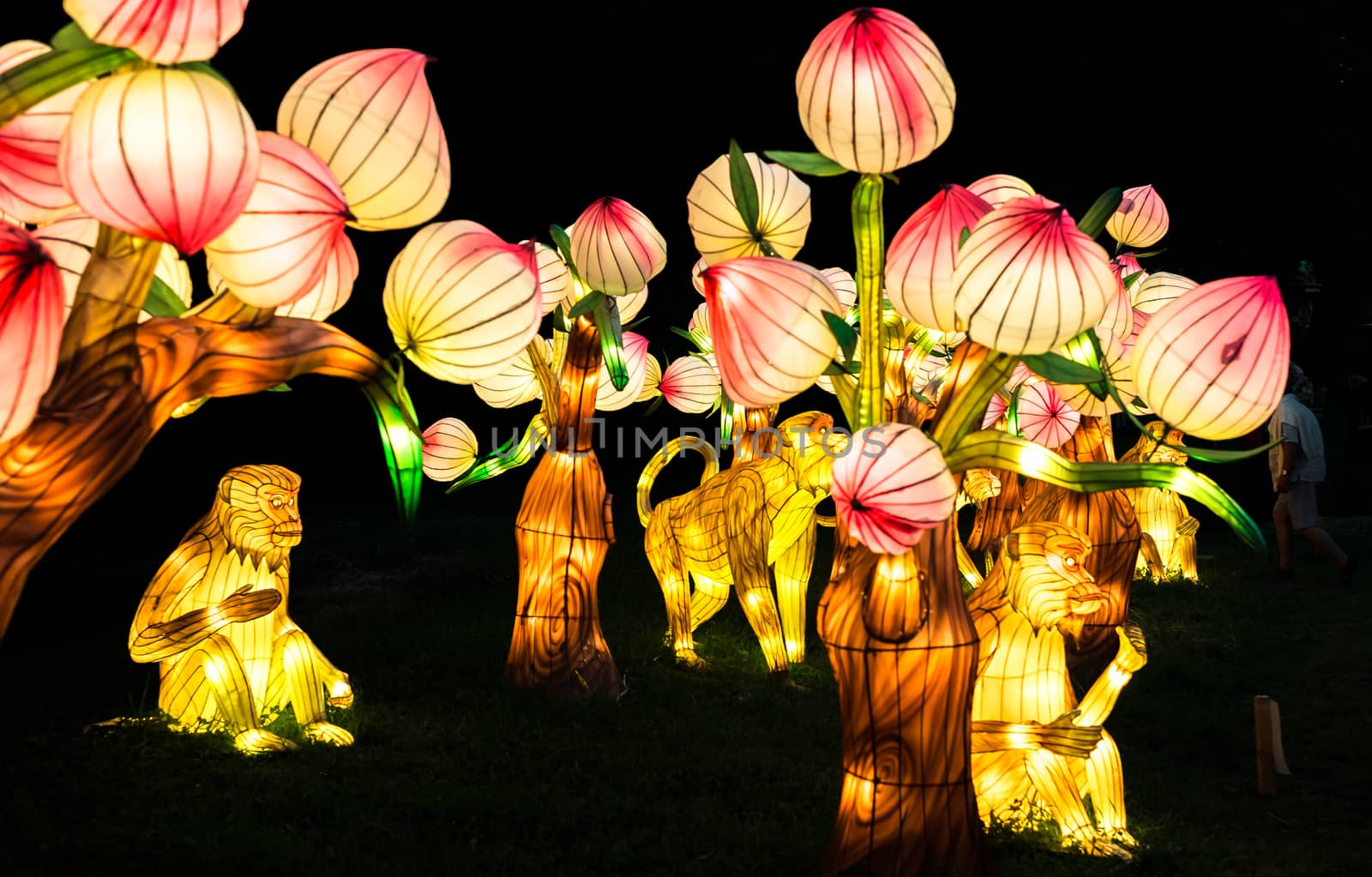 Sibiu City, Romania - 23 June 2019. The Lantern Festival a centuries-old Chinese tradition will illuminate the ASTRA Museum at the Sibiu International Theatre Festival from Sibiu, Romania.
