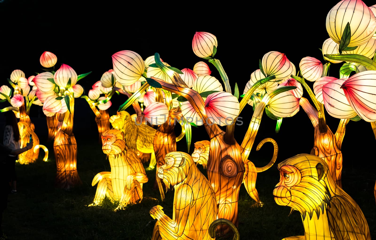 Sibiu City, Romania - 23 June 2019. The Lantern Festival a centuries-old Chinese tradition will illuminate the ASTRA Museum at the Sibiu International Theatre Festival from Sibiu, Romania.
