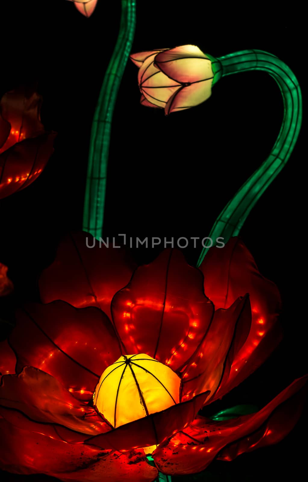 Sibiu City, Romania - 23 June 2019. The Lantern Festival a centuries-old Chinese tradition will illuminate the ASTRA Museum at the Sibiu International Theatre Festival from Sibiu, Romania.