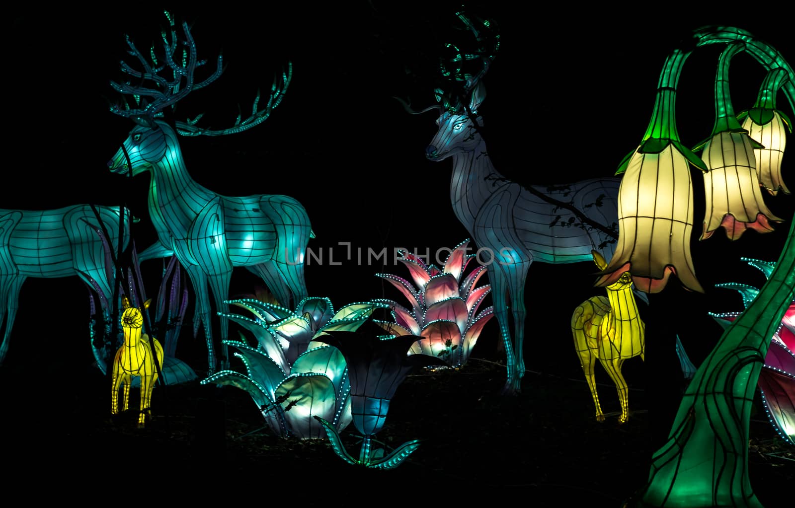 Sibiu City, Romania - 23 June 2019. The Lantern Festival a centuries-old Chinese tradition will illuminate the ASTRA Museum at the Sibiu International Theatre Festival from Sibiu, Romania.