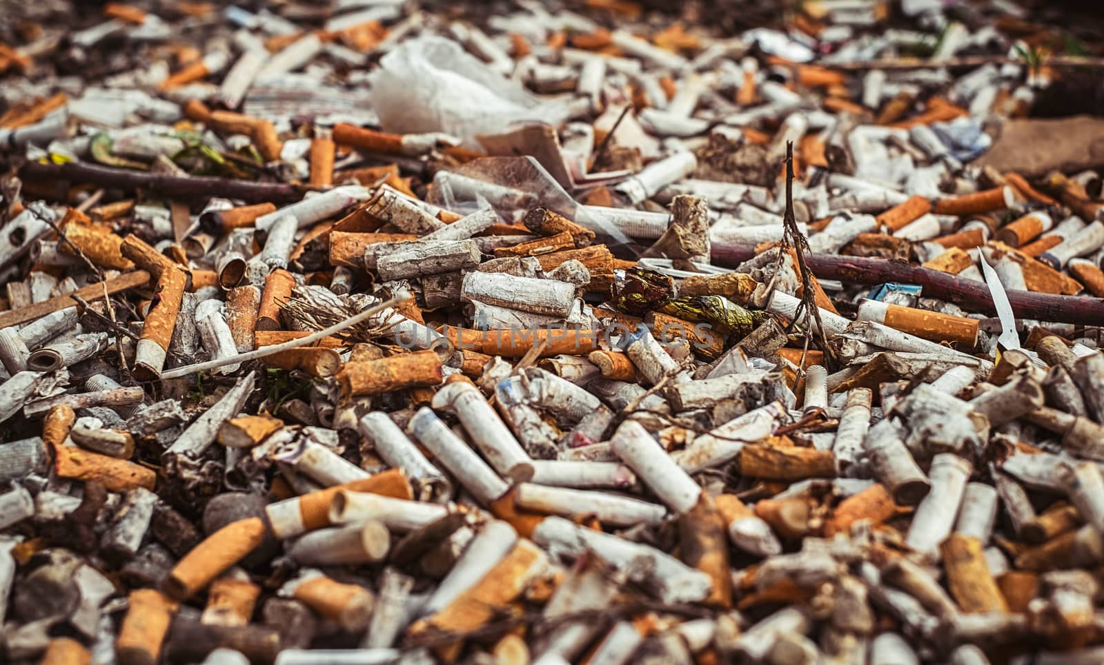 a lot of burnt cigarette butts, close up view