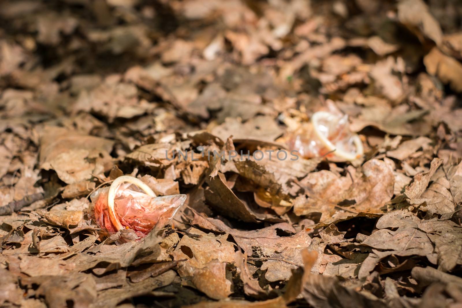 a used condom speckled with blood threw in the autumn forest, polluted the nature