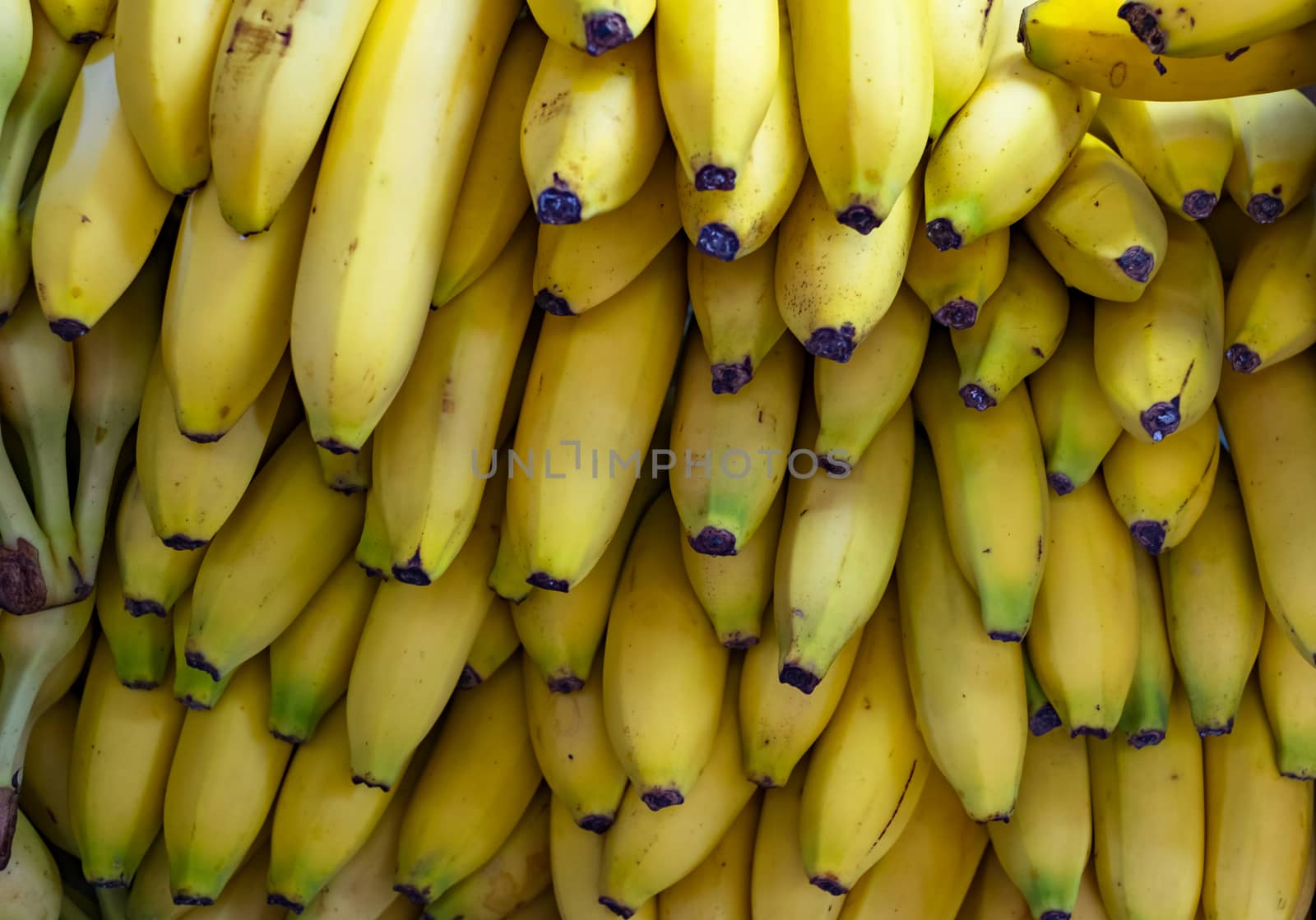 a bunch of bananas at the store