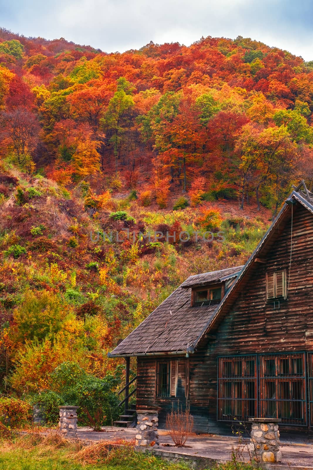 abandoned cottage in autumn setting, Orlat commune, Sibiu county, Romania