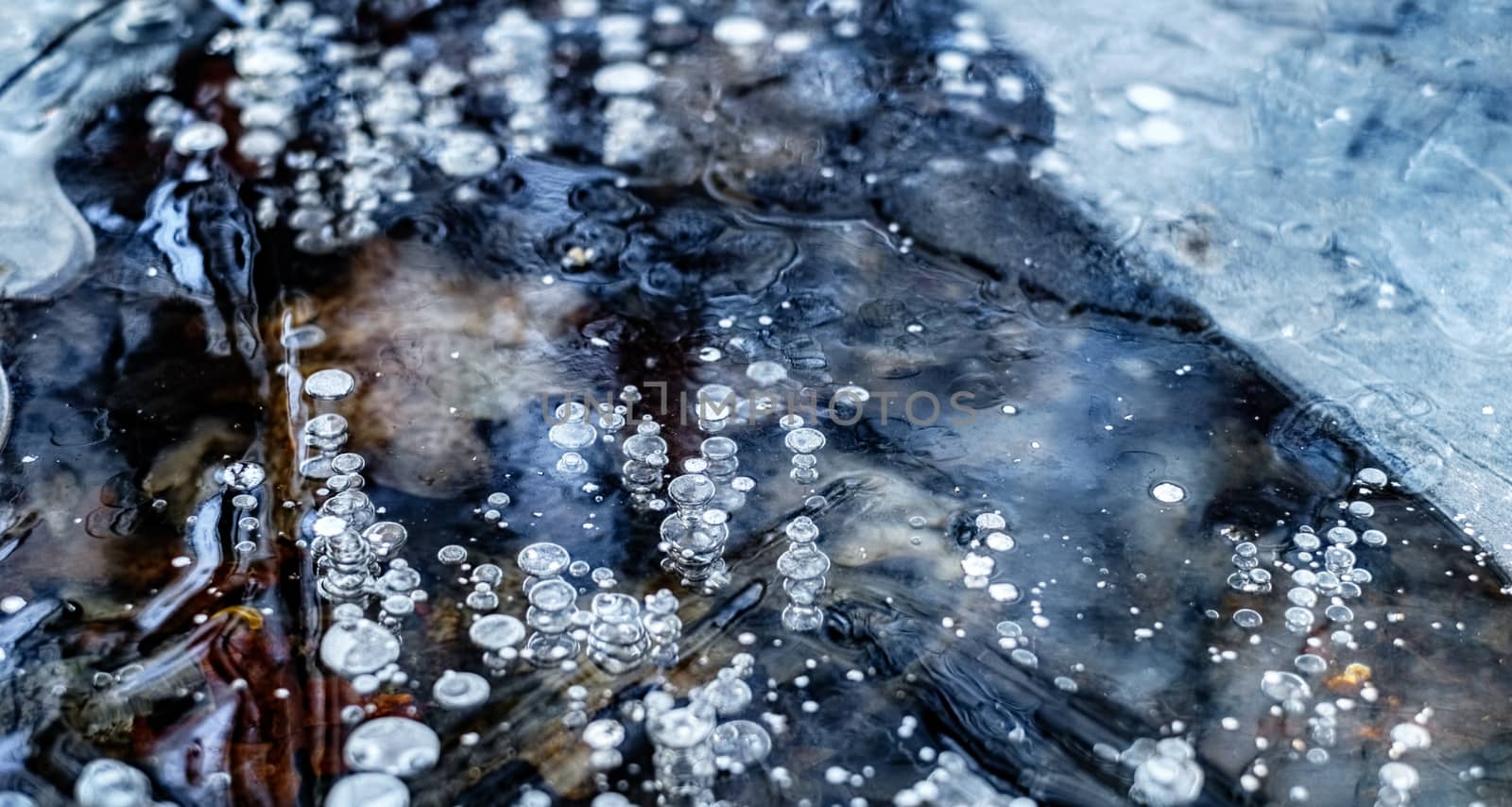 air bubbles trapped under ice