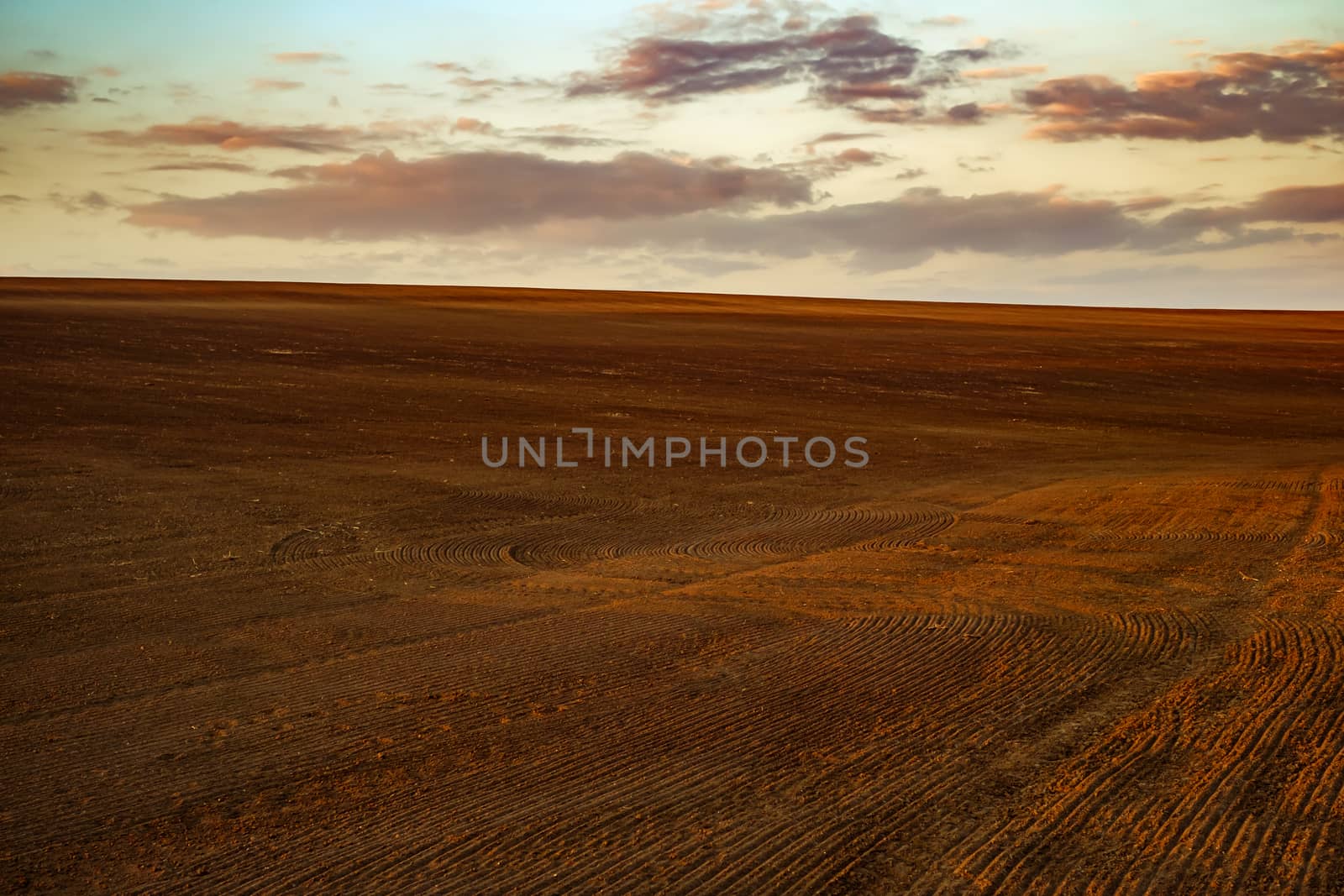 agricultural spring ploughed field before sowing at sunset