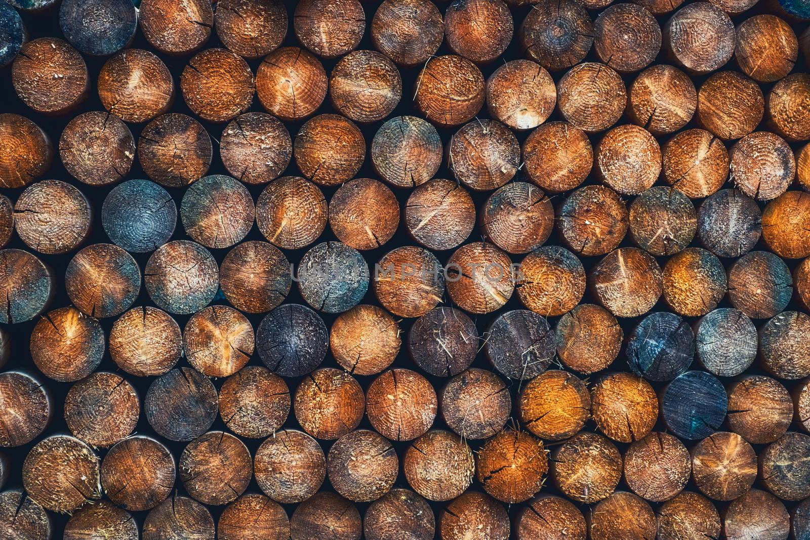 Abstract photo of a pile of natural wooden round logs background.