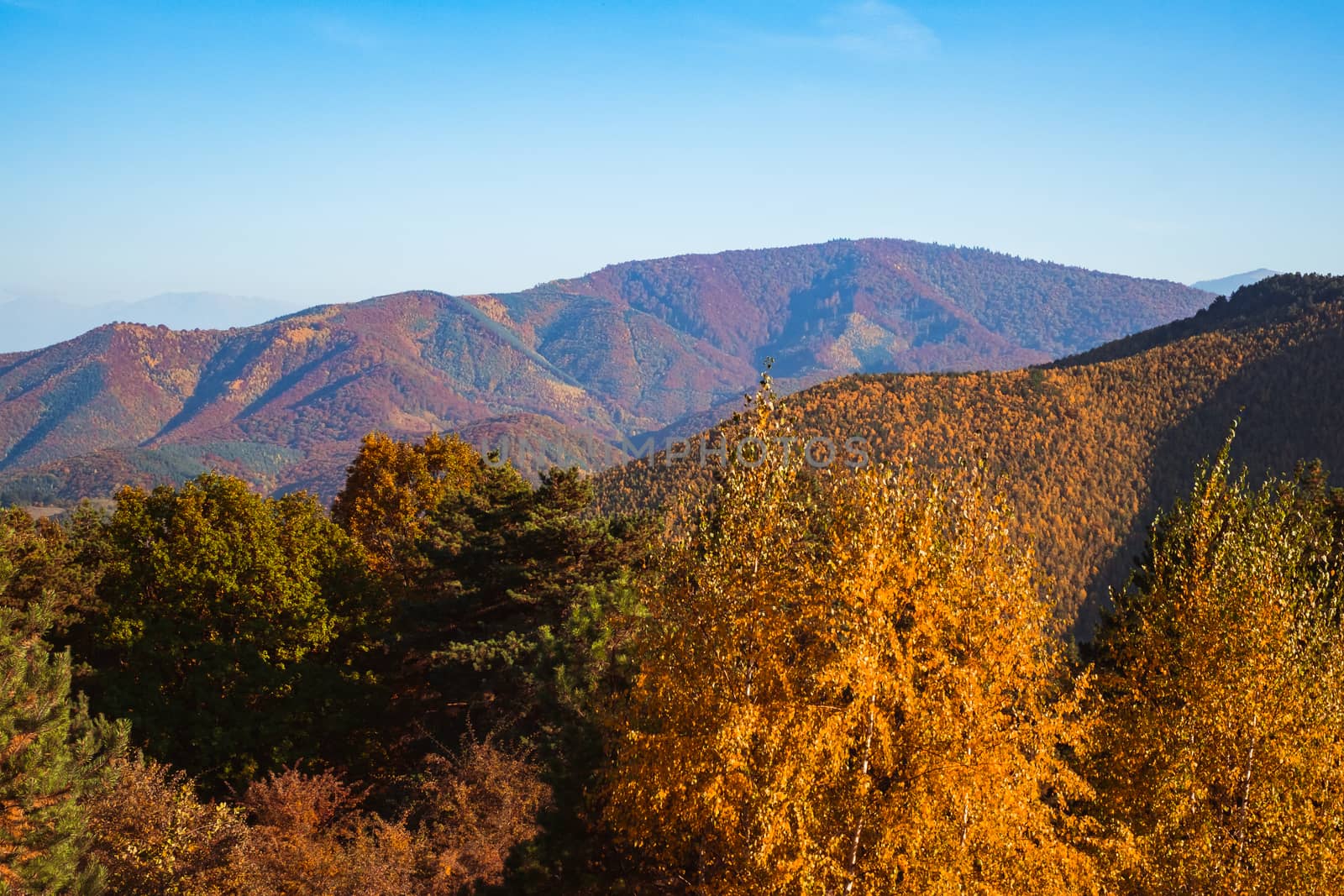 autumn landscape on sunny day, Cindrel mountains, Sibiu county, Romania