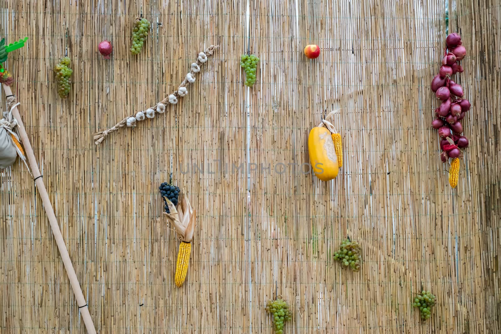 grapes, red onion, corn, garlic and pumpkin on a wicker wall