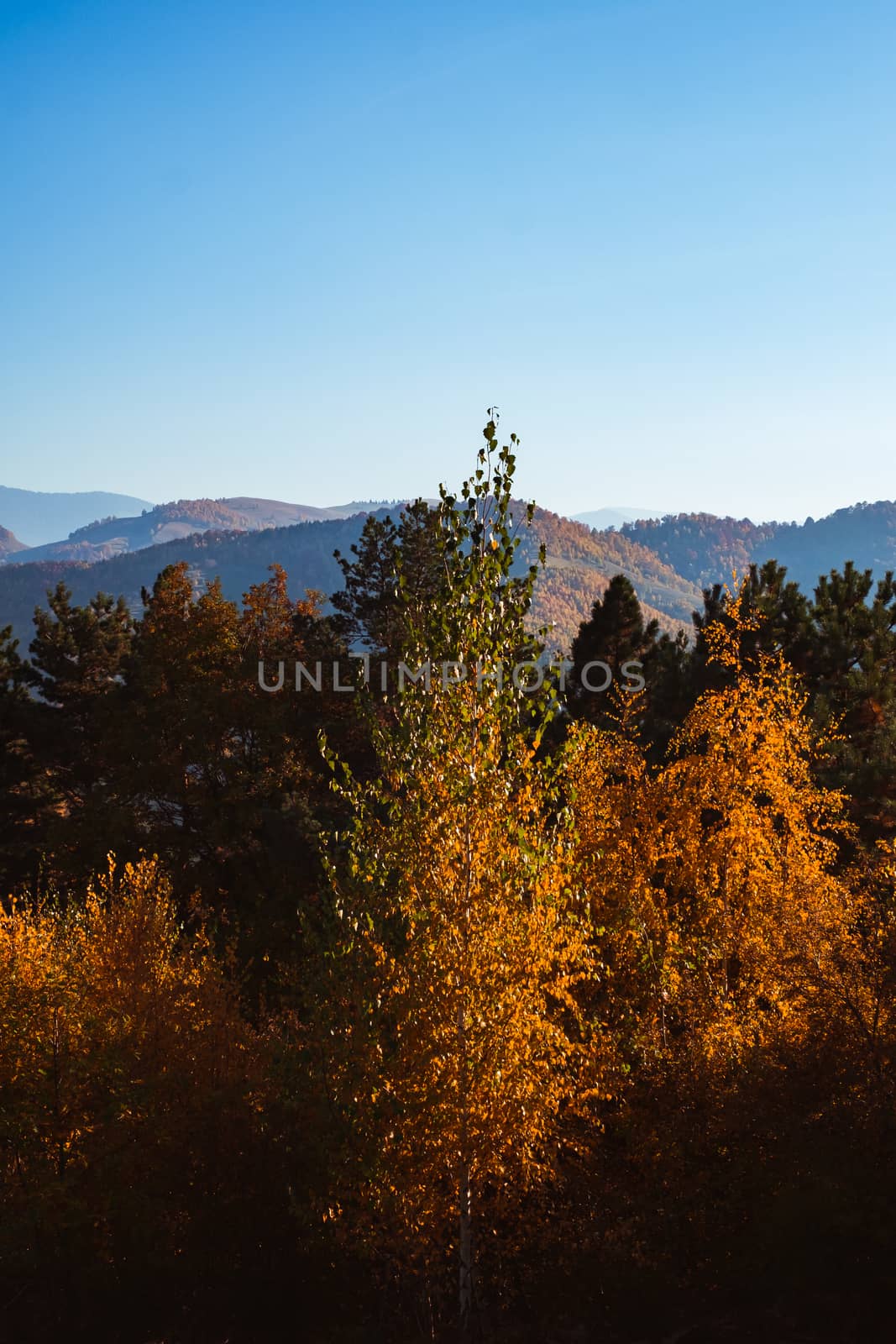 autumn landscape on sunny day, Cindrel mountains, Sibiu county, Romania