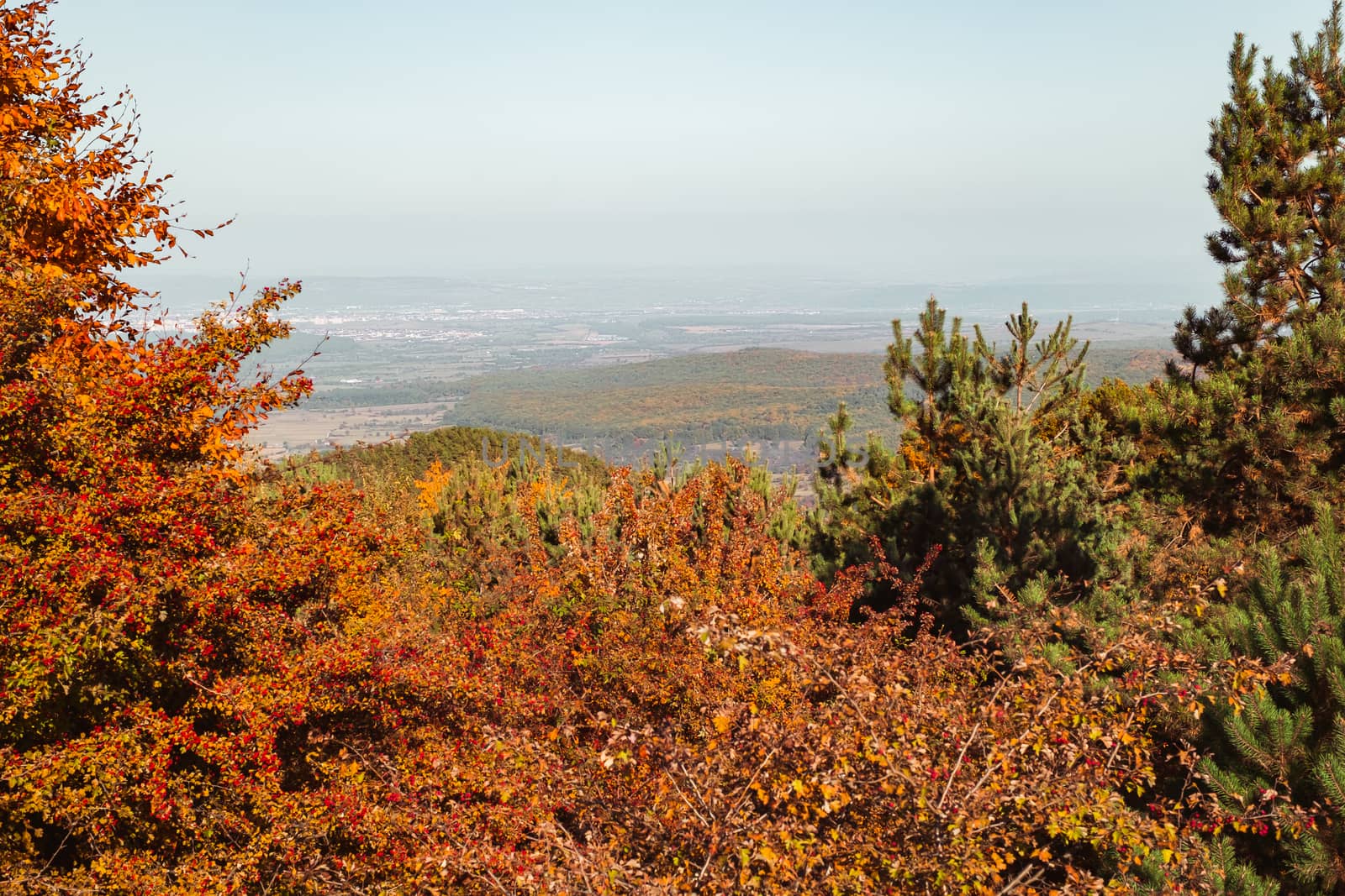 autumn landscape on sunny day, Cindrel mountains, Sibiu county, Romania