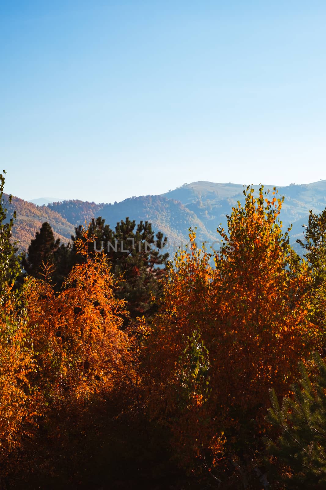 autumn landscape on sunny day, Cindrel mountains, Sibiu county, Romania