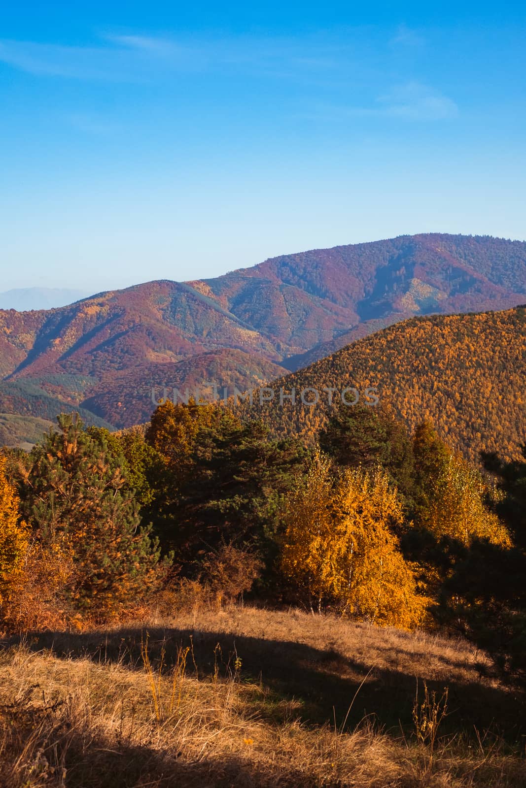 autumn landscape on sunny day, Cindrel mountains, Sibiu county, Romania