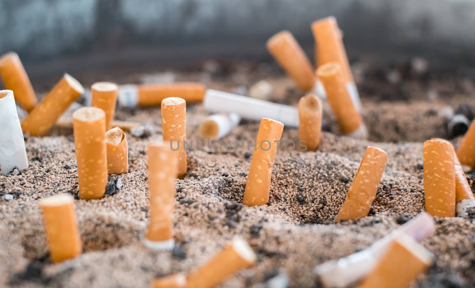 cigarette butts in the sand