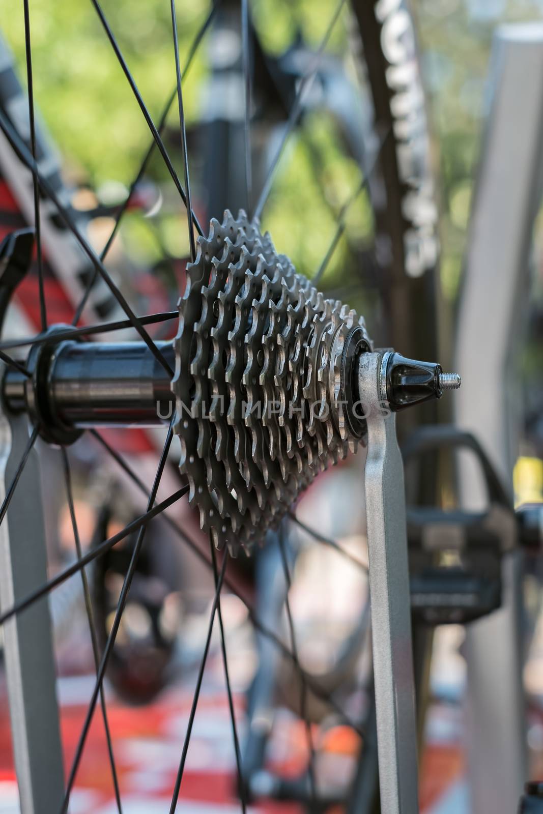 Closeup rear cassette of the road bike