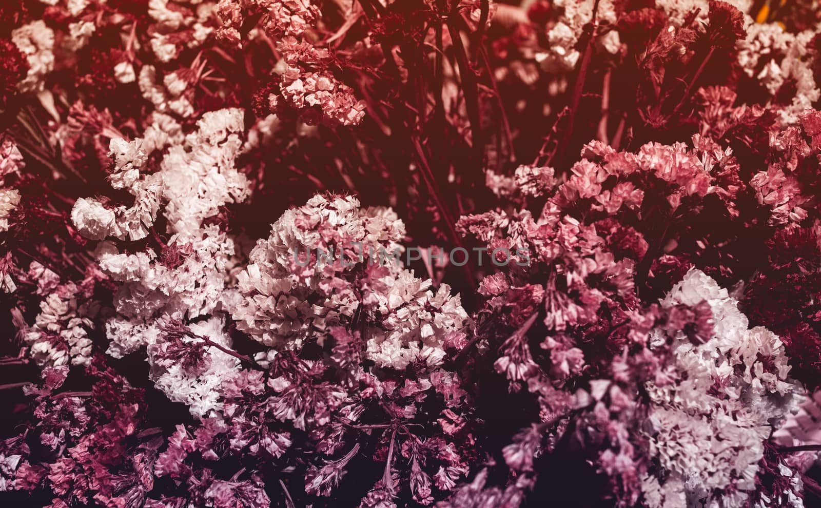 details of a dried ornamental flowers arrangement, autumn tones