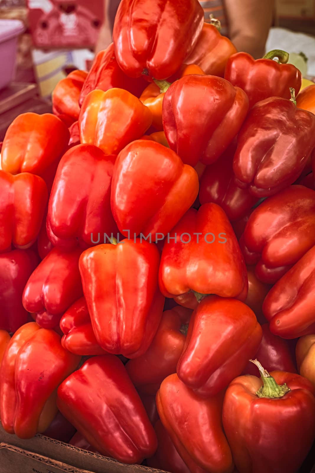 fresh red pepper to the market