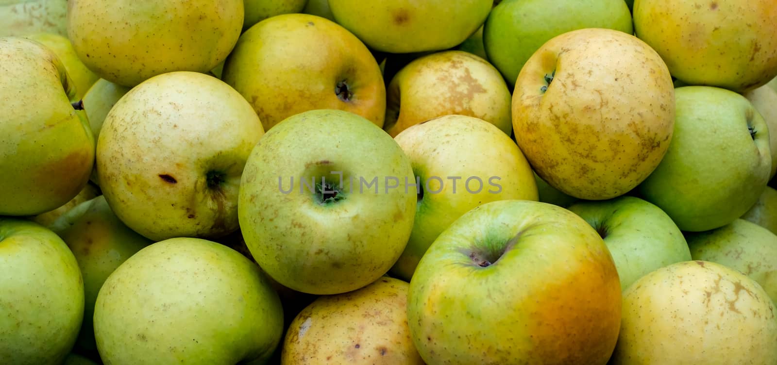 green and yellow apple background