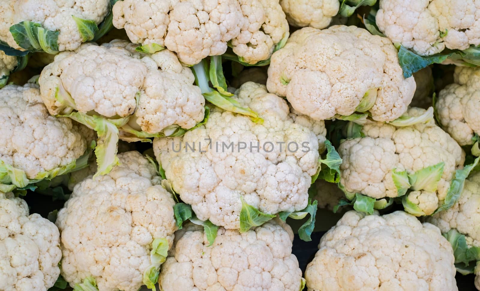 Group of cauliflowers with green leaves