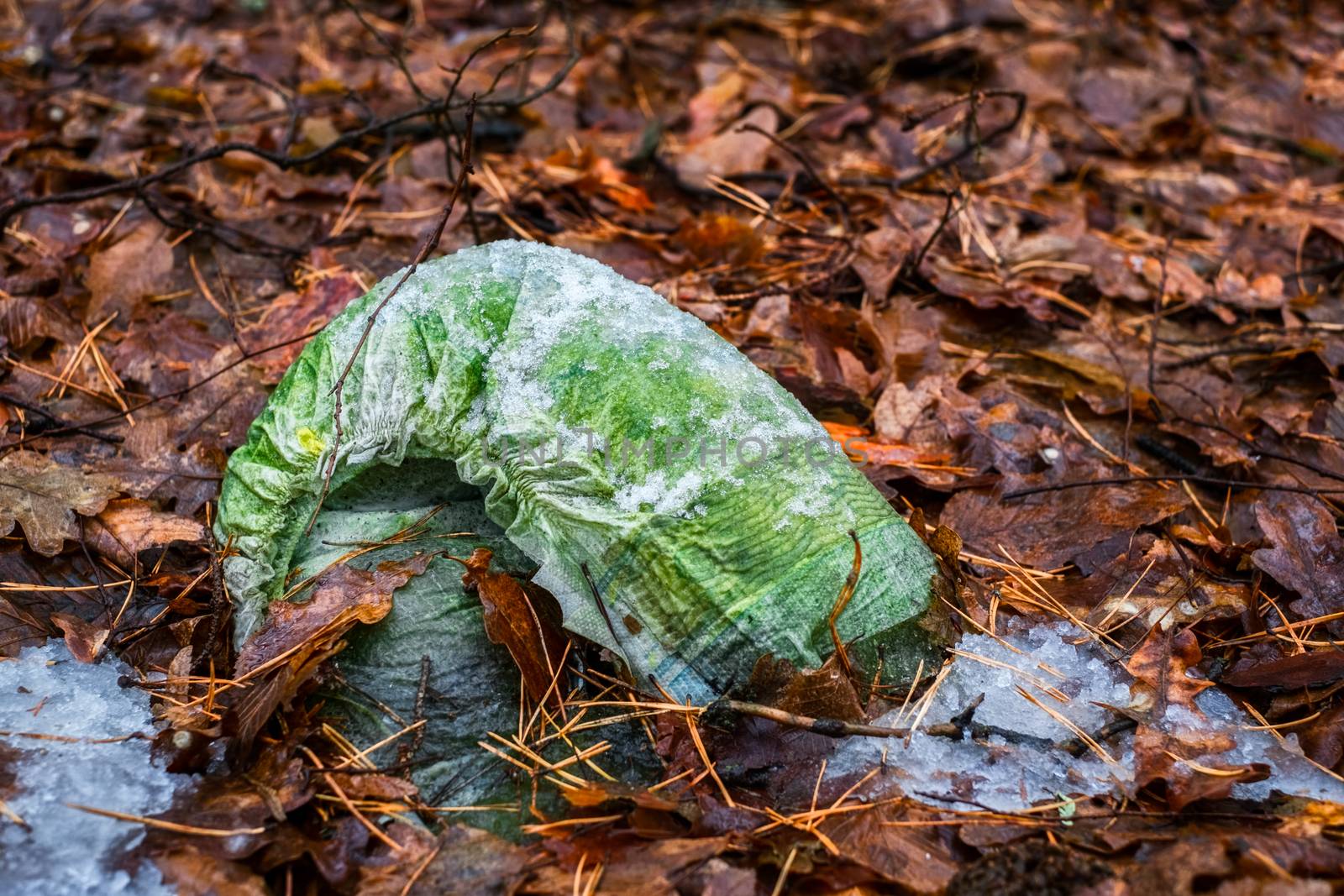 old diapers thrown into the autumn forest by Roberto